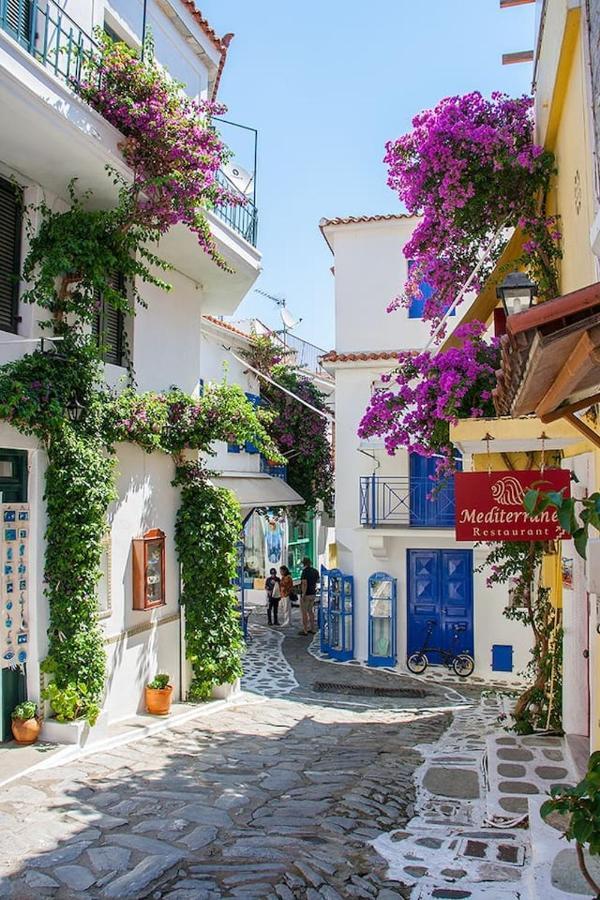 Mikri Gonia Villa Skiathos Town Exterior photo